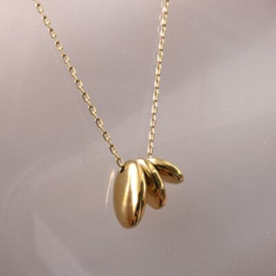 💫 Collier Aura Divine