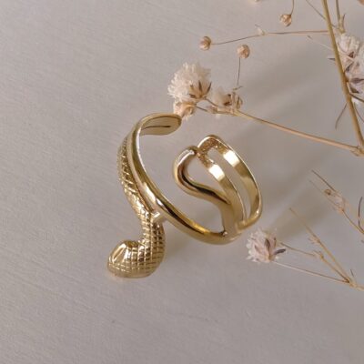 Bague serpent 🐍